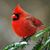 Kathy Getsinger's profile image