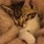 Zirah B L Hearn's profile image