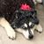 Eileen Dempsey's profile image