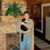 Nancy K Dooley's profile image