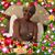 Liz Garcia's profile image