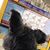 Paula McClellan Gunter's profile image