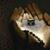 Zamzam Zamzam's profile image