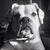 Jacqueline Powers's profile image