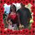 Katie Willcox Williams's profile image