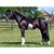 Hayley Shotmeyer Rooney's profile image