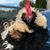 Sherrie Jack's profile image