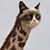Myrom Leslie's profile image