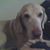 Jen Gosch's profile image