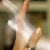 Mary Ventimiglia's profile image