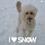 Cheryl Gaynor's profile image