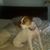 Heidi RH Whittier's profile image