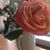 Cecilia Crespo's profile image