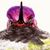 Suzanne T. Fulton's profile image