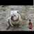 Lori Lynn Kaiser's profile image
