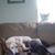 Lea Ann Chafee's profile image