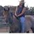 Nola Dietz's profile image