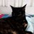 Cherie Mckinnon's profile image