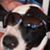 Al Rossetti's profile image