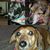 Beth Spangler's profile image
