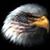 Laura Bramlett's profile image