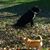 Vicki Jones Lowder's profile image