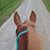 Letitia Simmons's profile image