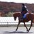 Jackie Hoffner's profile image