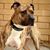 Lori Swenson's profile image