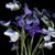Kelly Roberts's profile image