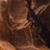 Curt Fortie's profile image