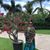 Mary Gonzalez's profile image