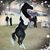 Leeana Hackworth's profile image