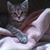 Ruth Breidenstein's profile image