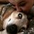 Ani Dunworth's profile image
