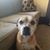 Tracy Loudenclos's profile image
