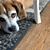 JasonSara Pipkin's profile image