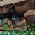 Crissy Carter- Spencer's profile image