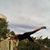 Irma Chavira-Chouehne's profile image