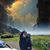 Teresa Marie McLeod's profile image