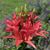 Steph McAtee Miller's profile image