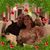 Korey Shields's profile image