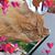 Marcia Higgins's profile image