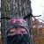 Melissa Spiese Kensinger's profile image