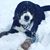 Holly Jamison O'Lare's profile image