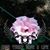 Gwen Meints's profile image