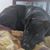 Cheryle Selan's profile image