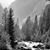 Richard A.F. Nelson's profile image