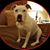 Catherine Burgos Franks's profile image