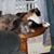 Patty Dunstan's profile image